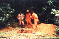 Mission de terrain au Gabon - environnement pour Amerada Hess